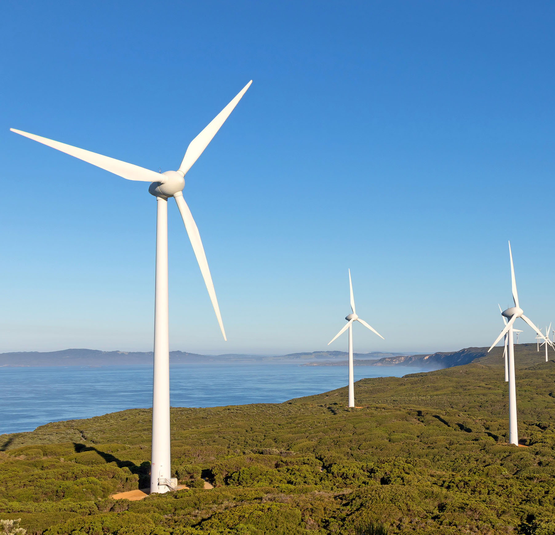 Albany Wind Turbine Farm