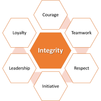 Vescient values Vescient values